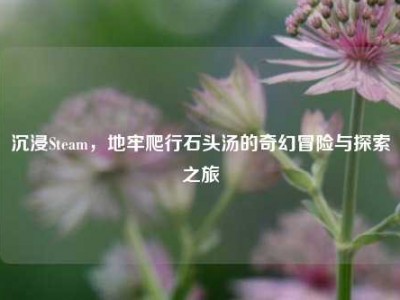 沉浸Steam，地牢爬行石头汤的奇幻冒险与探索之旅