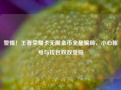 警惕！王者荣耀卡无限金币全是骗局，小心账号与钱包双双受损