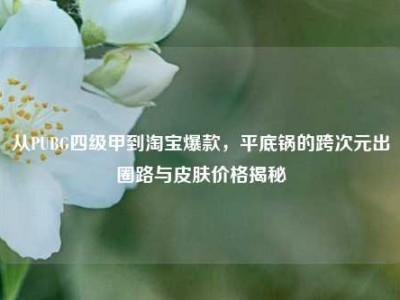 从PUBG四级甲到淘宝爆款，平底锅的跨次元出圈路与皮肤价格揭秘