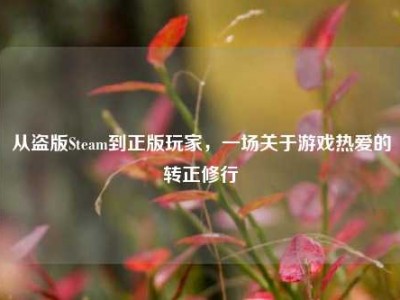 从盗版Steam到正版玩家，一场关于游戏热爱的转正修行