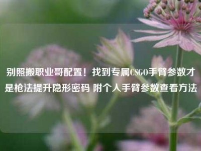 别照搬职业哥配置！找到专属CSGO手臂参数才是枪法提升隐形密码 附个人手臂参数查看方法