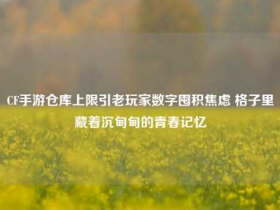 CF手游仓库上限引老玩家数字囤积焦虑 格子里藏着沉甸甸的青春记忆