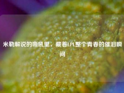 米勒解说的嘶吼里，藏着LPL整个青春的催泪瞬间