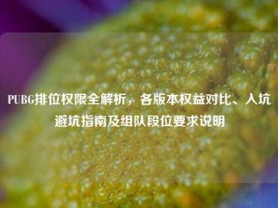PUBG排位权限全解析，各版本权益对比、入坑避坑指南及组队段位要求说明