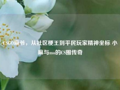 CSGO麻爷，从社区梗王到平民玩家精神坐标 小麻与mo的CS圈传奇