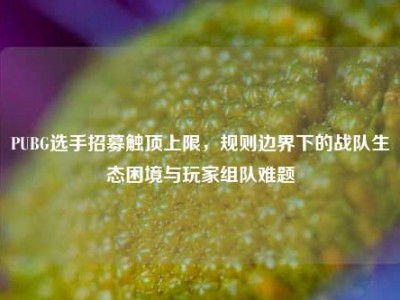 PUBG选手招募触顶上限，规则边界下的战队生态困境与玩家组队难题