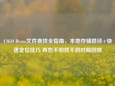 CSGO Demo文件查找全指南，本地存储路径+快速定位技巧 再也不怕找不到对局回放