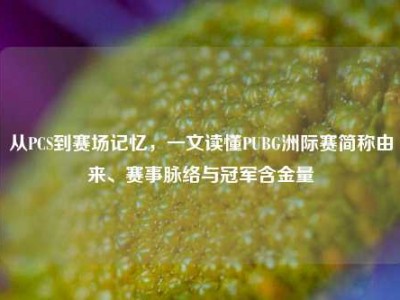 从PCS到赛场记忆，一文读懂PUBG洲际赛简称由来、赛事脉络与冠军含金量