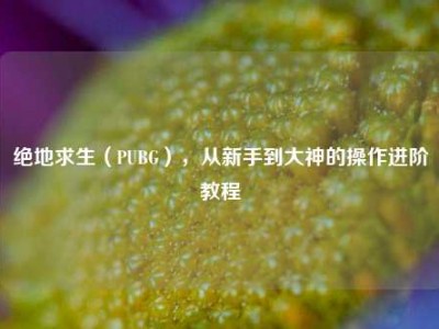 绝地求生（PUBG），从新手到大神的操作进阶教程