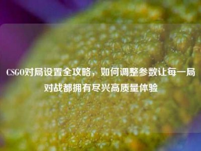 CSGO对局设置全攻略，如何调整参数让每一局对战都拥有尽兴高质量体验