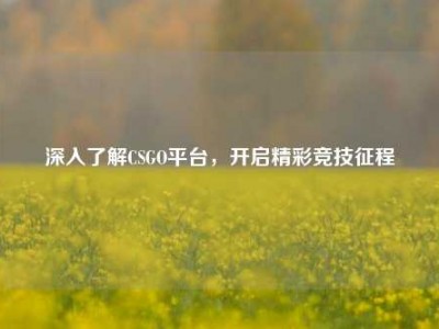 深入了解CSGO平台，开启精彩竞技征程