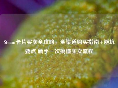 Steam卡片买卖全攻略，全渠道购买指南+避坑要点 新手一次搞懂买卖流程