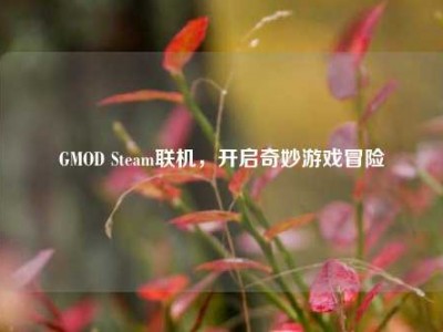 GMOD Steam联机，开启奇妙游戏冒险