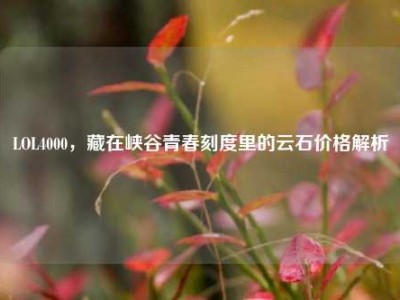 LOL4000，藏在峡谷青春刻度里的云石价格解析