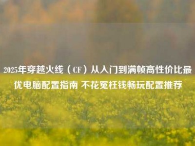 2025年穿越火线（CF）从入门到满帧高性价比最优电脑配置指南 不花冤枉钱畅玩配置推荐