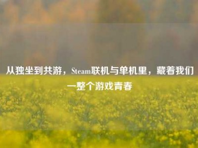 从独坐到共游，Steam联机与单机里，藏着我们一整个游戏青春