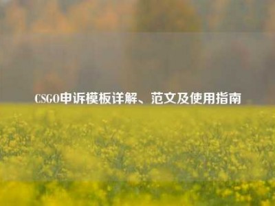CSGO申诉模板详解、范文及使用指南