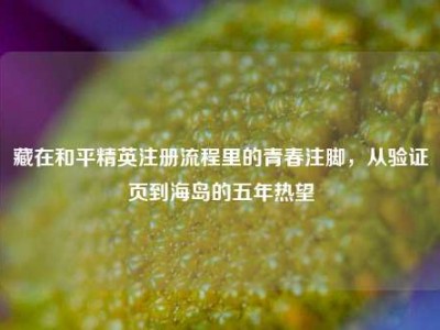 藏在和平精英注册流程里的青春注脚，从验证页到海岛的五年热望