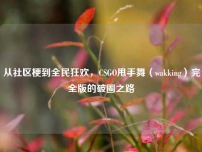 从社区梗到全民狂欢，CSGO甩手舞（wakking）完全版的破圈之路