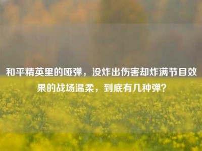 和平精英里的哑弹，没炸出伤害却炸满节目效果的战场温柔，到底有几种弹？
