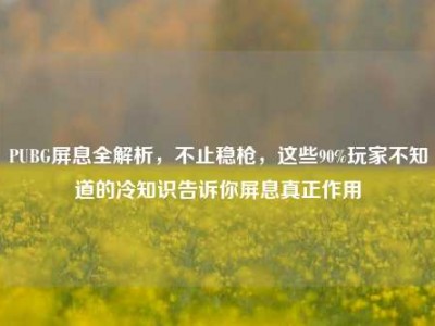 PUBG屏息全解析，不止稳枪，这些90%玩家不知道的冷知识告诉你屏息真正作用