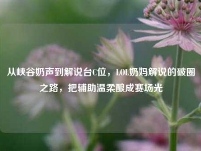 从峡谷奶声到解说台C位，LOL奶妈解说的破圈之路，把辅助温柔酿成赛场光