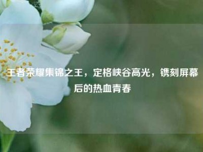 王者荣耀集锦之王，定格峡谷高光，镌刻屏幕后的热血青春