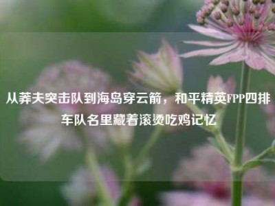 从莽夫突击队到海岛穿云箭，和平精英FPP四排车队名里藏着滚烫吃鸡记忆