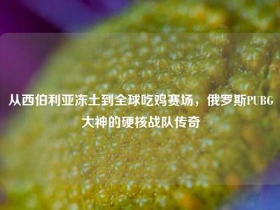 从西伯利亚冻土到全球吃鸡赛场，俄罗斯PUBG大神的硬核战队传奇