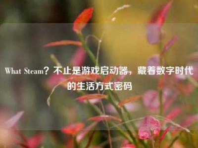 What Steam？不止是游戏启动器，藏着数字时代的生活方式密码