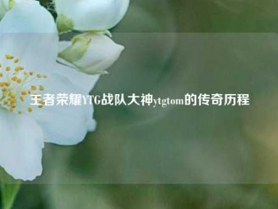 王者荣耀YTG战队大神ytgtom的传奇历程