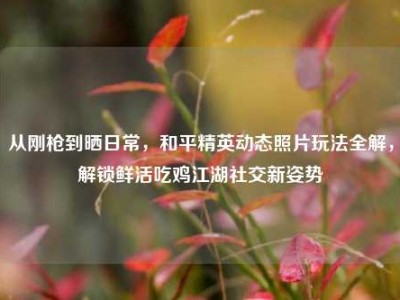 从刚枪到晒日常，和平精英动态照片玩法全解，解锁鲜活吃鸡江湖社交新姿势
