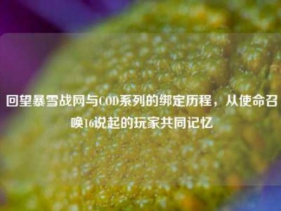 回望暴雪战网与COD系列的绑定历程，从使命召唤16说起的玩家共同记忆
