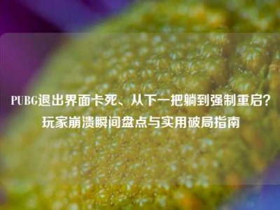 PUBG退出界面卡死、从下一把躺到强制重启？玩家崩溃瞬间盘点与实用破局指南