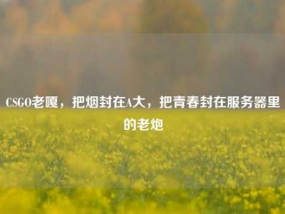 CSGO老嘎，把烟封在A大，把青春封在服务器里的老炮