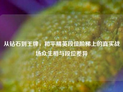从钻石到王牌，和平精英段位阶梯上的真实战场众生相与段位差异