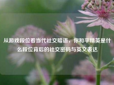 从游戏段位看当代社交暗语，你和平精英是什么段位背后的社交密码与英文表达