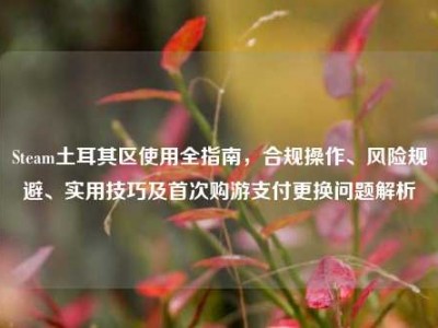 Steam土耳其区使用全指南，合规操作、风险规避、实用技巧及首次购游支付更换问题解析