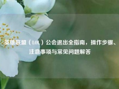 英雄联盟（LOL）公会退出全指南，操作步骤、注意事项与常见问题解答