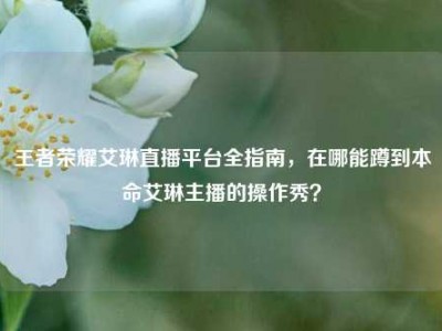 王者荣耀艾琳直播平台全指南，在哪能蹲到本命艾琳主播的操作秀？