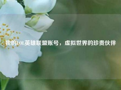我的LOL英雄联盟账号，虚拟世界的珍贵伙伴