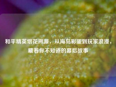 和平精英烟花溯源，从海岛彩蛋到玩家浪漫，藏着你不知道的幕后故事