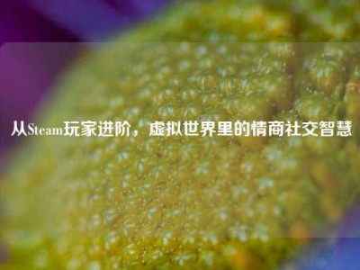 从Steam玩家进阶，虚拟世界里的情商社交智慧