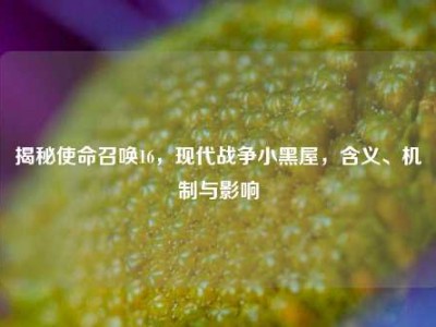 揭秘使命召唤16，现代战争小黑屋，含义、机制与影响