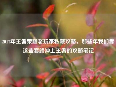 2017年王者荣耀老玩家私藏攻略，那些年我们靠这些套路冲上王者的攻略笔记