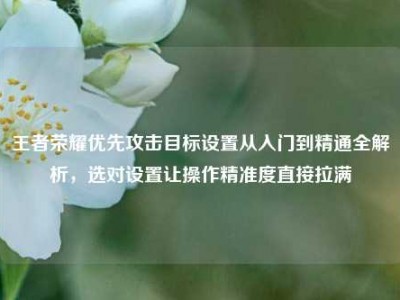 王者荣耀优先攻击目标设置从入门到精通全解析，选对设置让操作精准度直接拉满