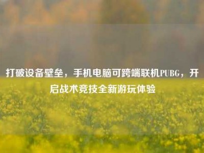 打破设备壁垒，手机电脑可跨端联机PUBG，开启战术竞技全新游玩体验