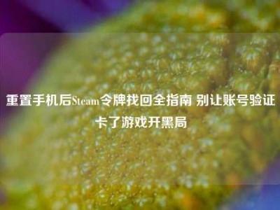 重置手机后Steam令牌找回全指南 别让账号验证卡了游戏开黑局
