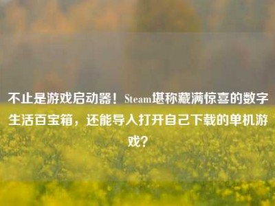 不止是游戏启动器！Steam堪称藏满惊喜的数字生活百宝箱，还能导入打开自己下载的单机游戏？