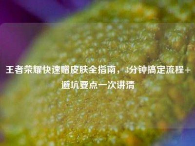 王者荣耀快速赠皮肤全指南，3分钟搞定流程+避坑要点一次讲清